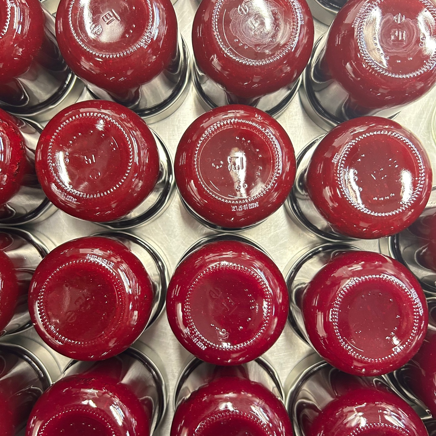 Edition 01 - Bio Rote Bete
